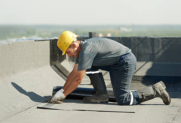 Vapor Barrier Installation in Pierson, FL